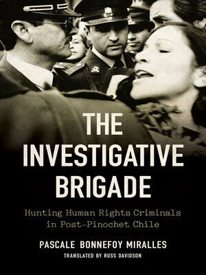 cover image of The Investigative Brigade